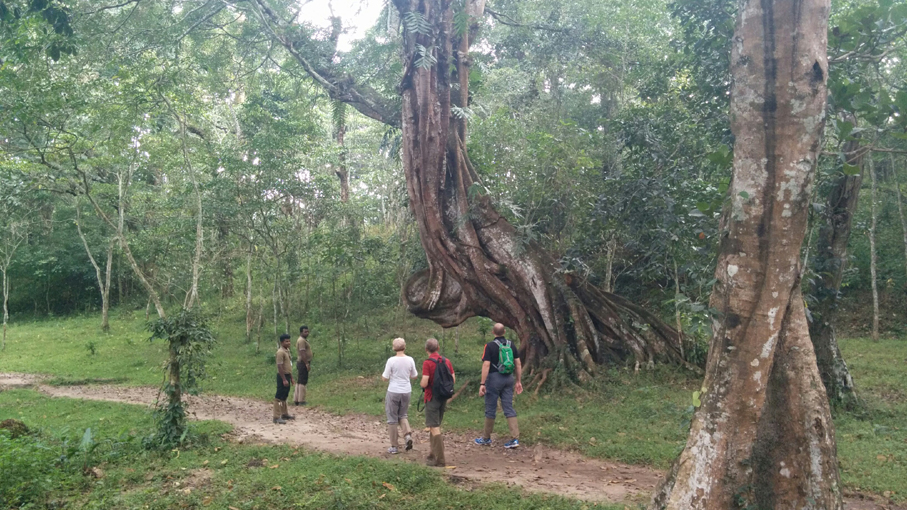 Trecking im Periyar-Nationalpark
